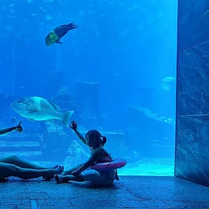 Explore DubaiâS Lost Chambers Aquarium: Tickets For One